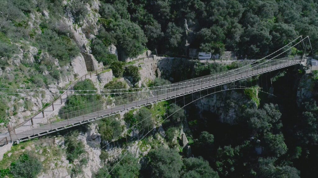 Windsor Suspension Bridge - Gibraltar ©naturereserve.gi