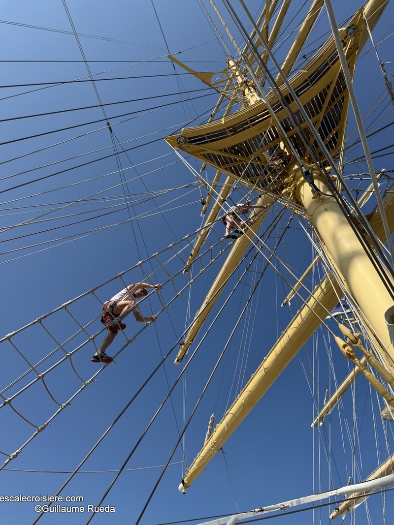 Montée au mât - Royal Clipper - Star Clippers