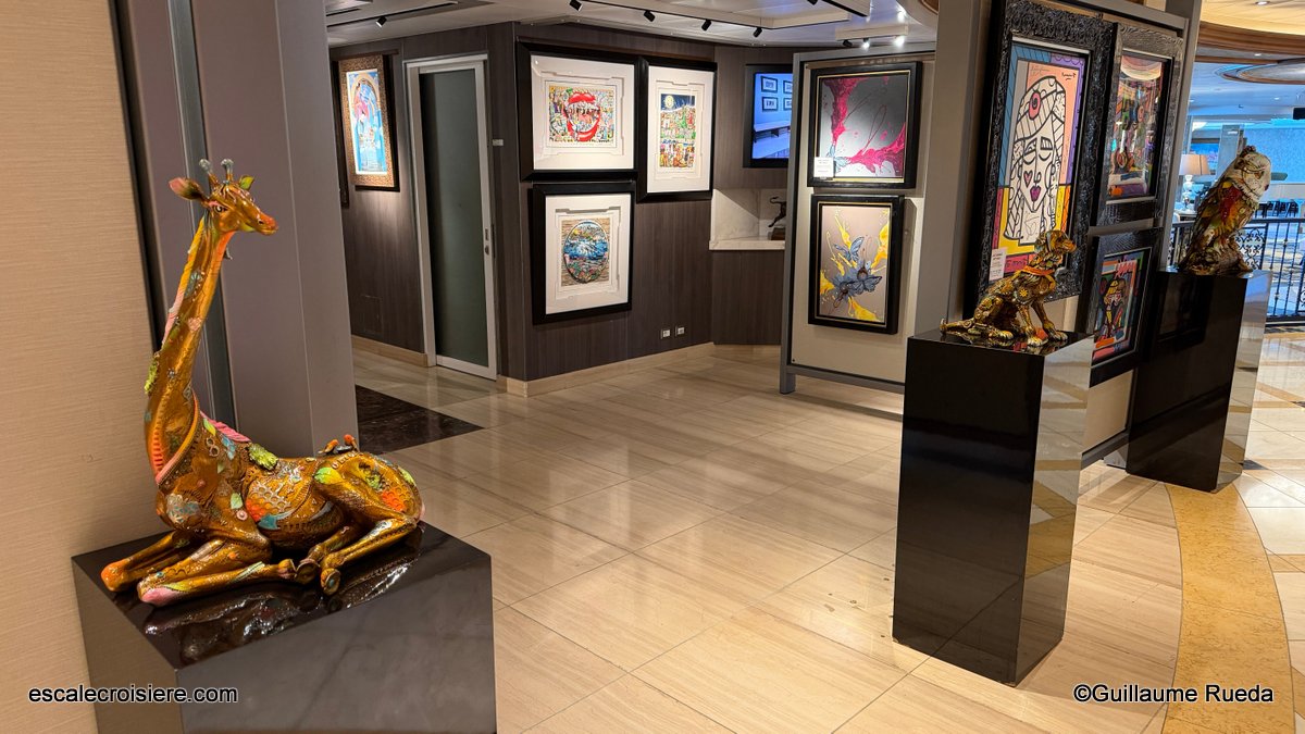 galerie d'art - Majestic Princess