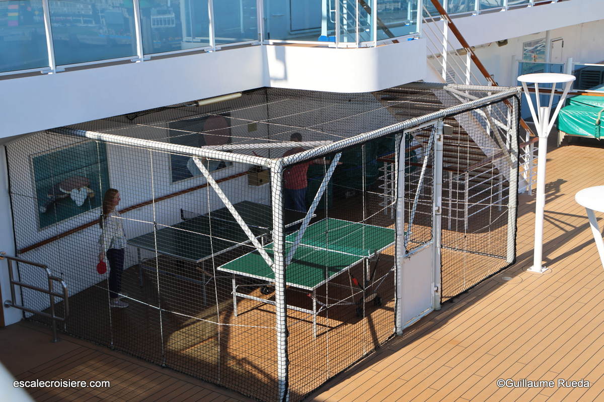 Ping pong - Majestic Princess