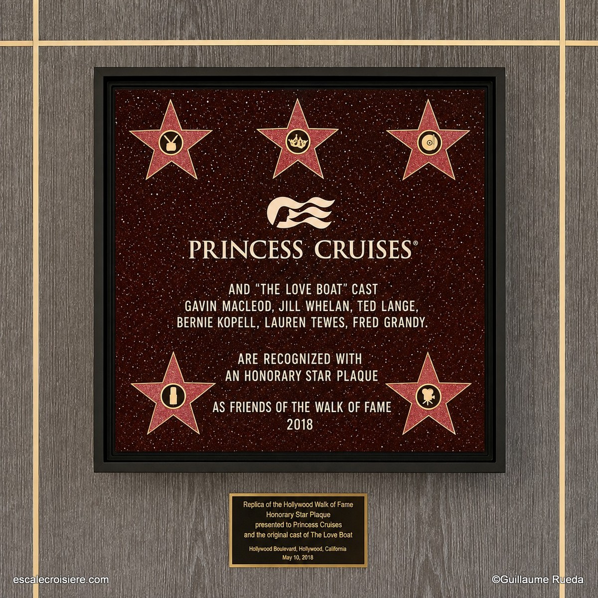 Plaque La Croisière s'amuse - Princess live - Majestic Princess